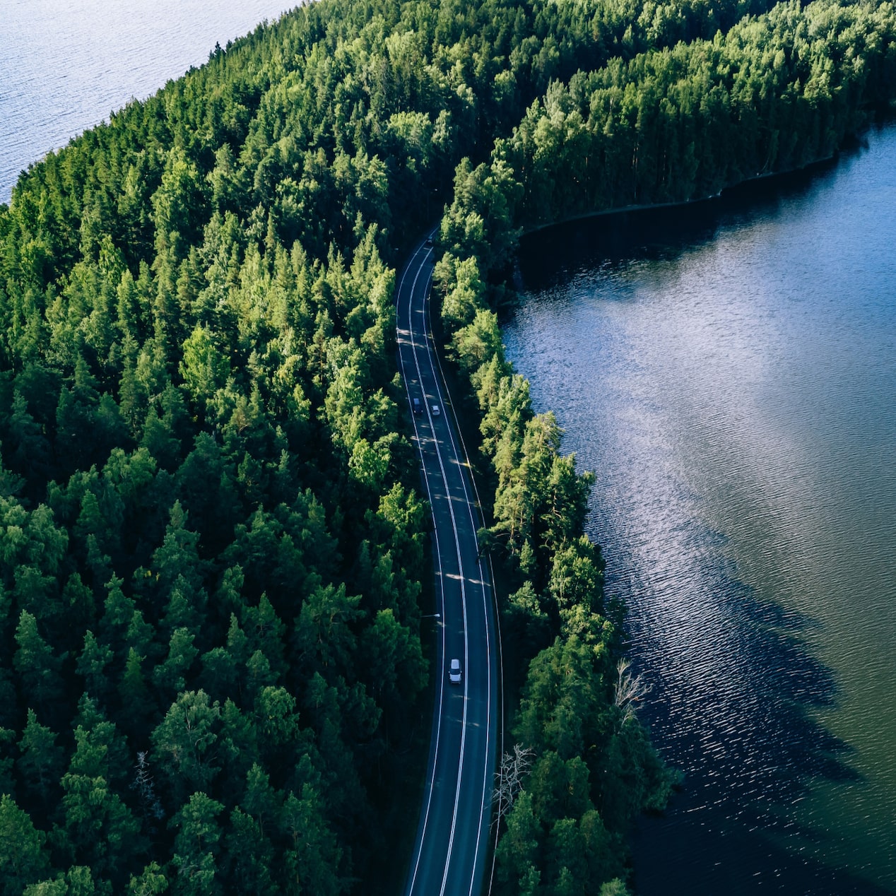 A Birds-Eye View of a Road Following the Curve of a River