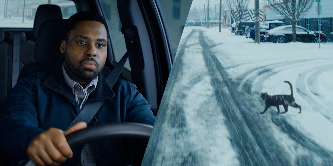 A Split Image of a Man Driving a Vehicle and a Cat Walking Across a Snowy Road