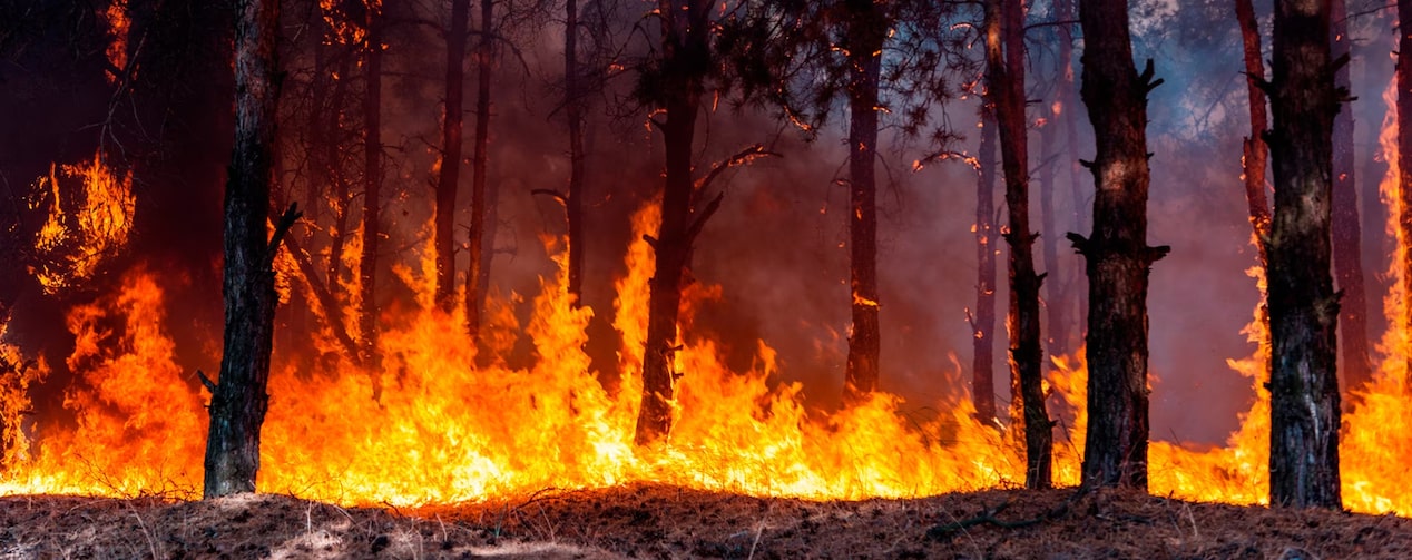 OnStar keeps you prepared during a wildfire crisis.